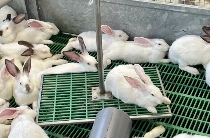 Saint-Joseph : inauguration du deuxième élevage expérimental en parc sur l'île