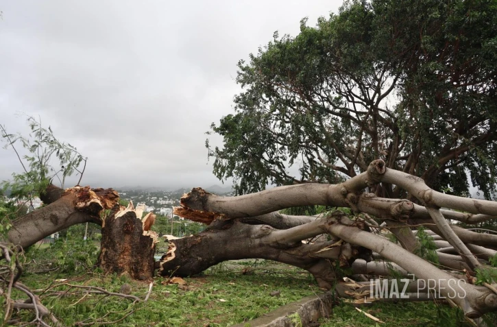 Cyclone Belal 