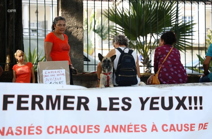 maltraitances des chiens 