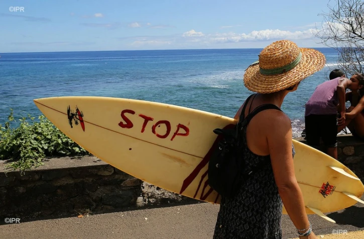 7 ans de crise requins