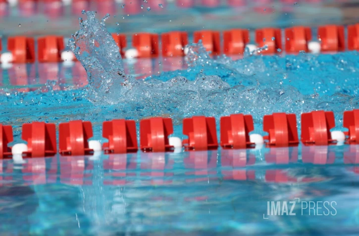 natation 