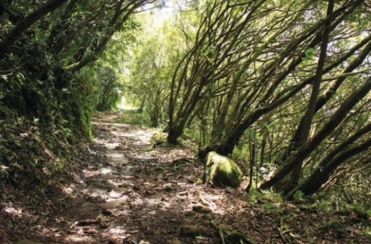 Sentier des Ravenales 