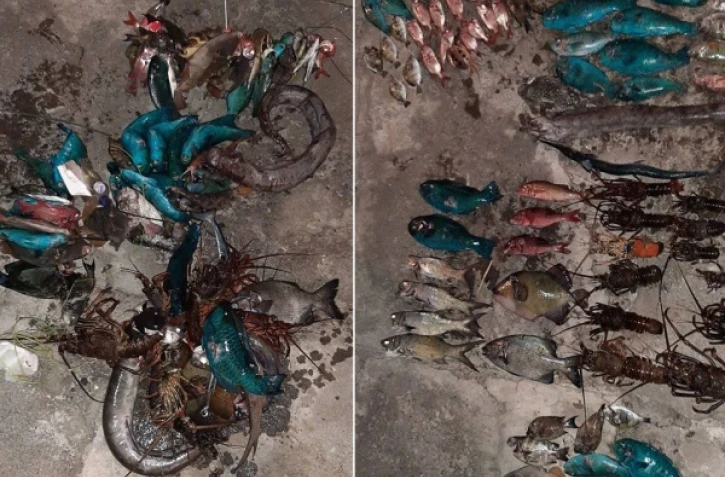 pêche illégale, réserve naturelle marine, lagon, prises, interpellation