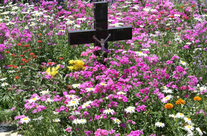 Cimetière 
