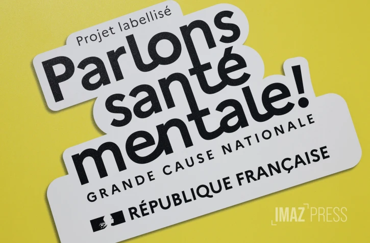 présentation de la Mad Pride 2025