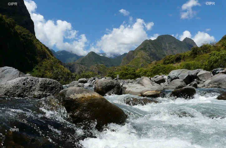 météo réunion 