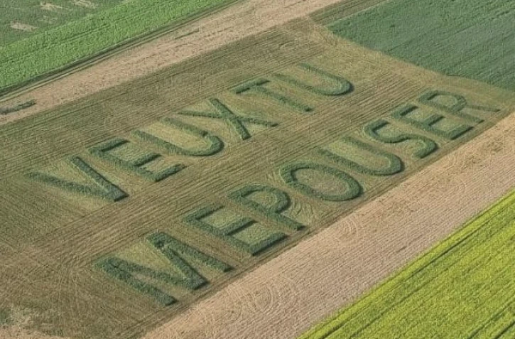 Un agriculteur demande sa compagne en mariage avec des lettres géantes taillées dans son champ