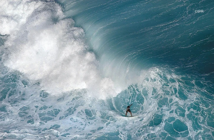 surf