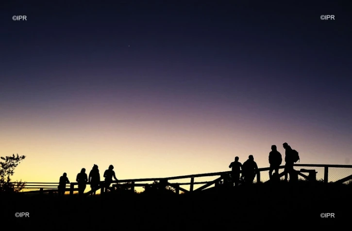 illustrations photos 