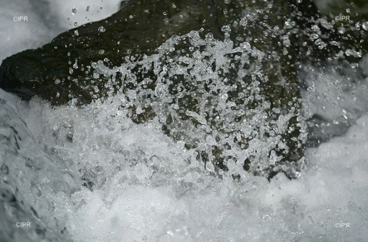 eau 