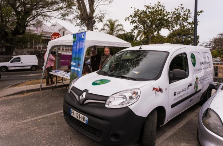 Saint-Paul : sensibilisation contre le prosopis sur le parking de la plage des brisants