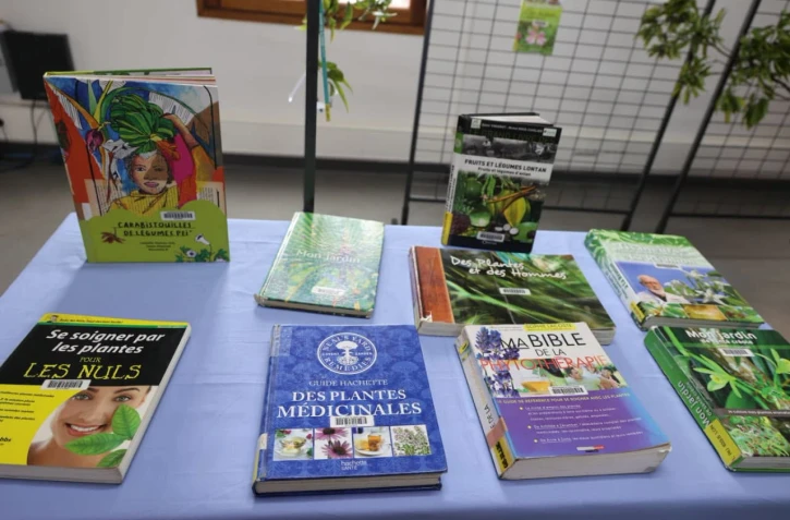 Saint-Pierre : dans les coulisses du métier de bibliothécaire à la médiathèque Raphaël Barquissau