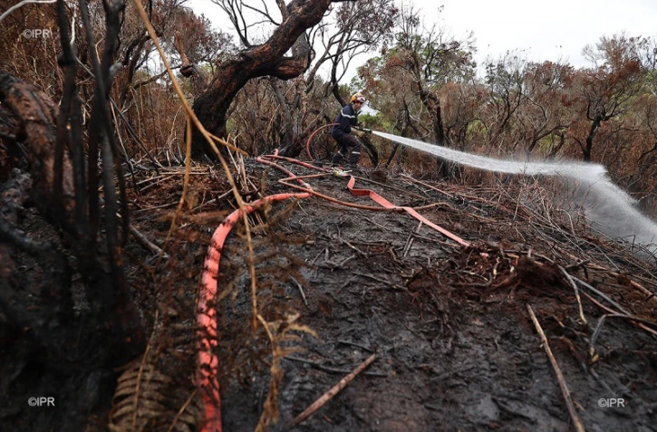 incendie maido sentier alcide