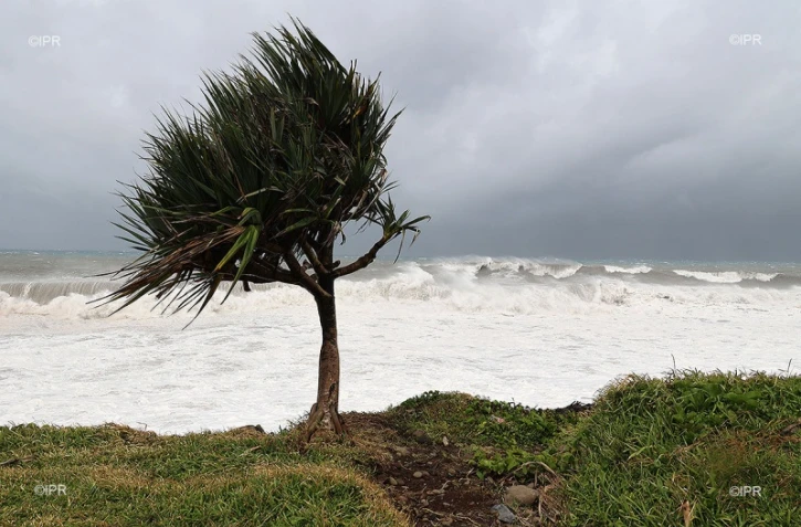 cyclone intense Batsirai 2 février 2022 côte est