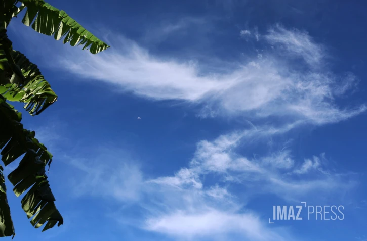 météo réunion 