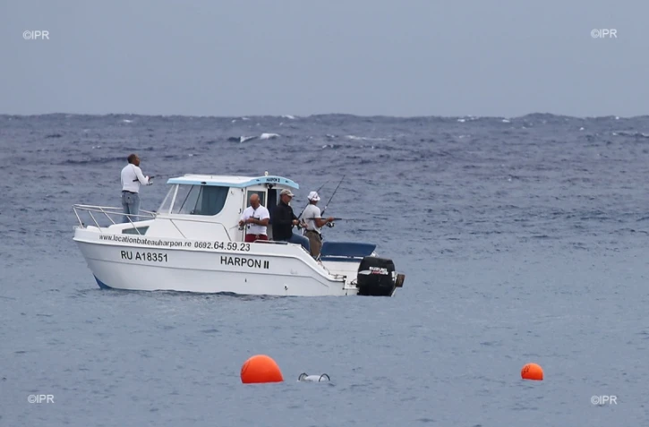 Attaque de requin au Port