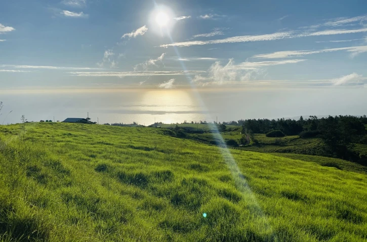 Festival des sens : un rallye touristique dans les hauts de Saint-Leu et Trois-Bassins