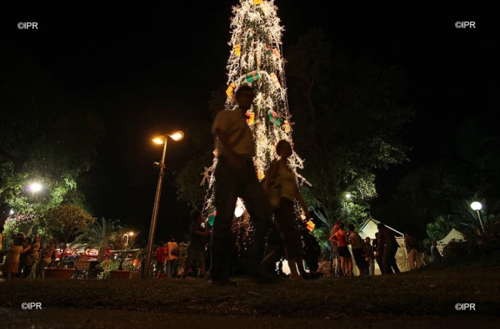 Les sapins artificiels séduisent de plus en plus les foyers réunionnais