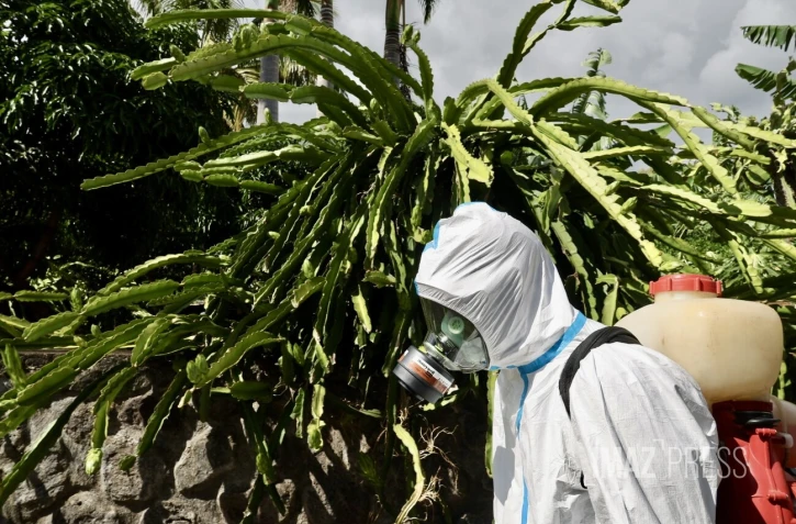 Chikungunya : retour sur l’épidémie de 2005, immunité et attentes autour du vaccin