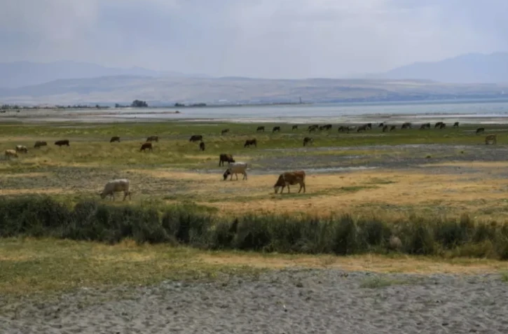 Les rives asséchées du lac de Van, dans l'est de la Turquie, le 17 août 2023 ( AFP / ILYAS AKENGIN )