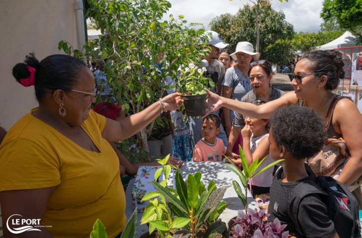 Le Port : journée portes ouvertes au coeur de la pépinière municipale