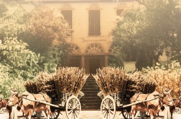 Semaine créole dans le smusées régionaux