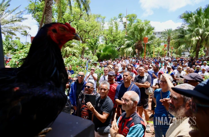 Saint-Denis : plus d'une centaine de personnes rassemblées pour défendre les traditions réunionnaises