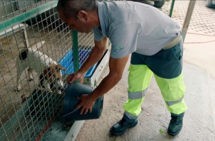 Réouverture de la fourrière animal