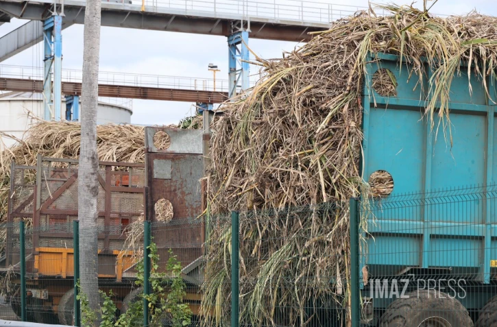 Grève à l'usine Bois-Rouge : les planteurs en colère veulent mettre la pression sur Tereos [?]