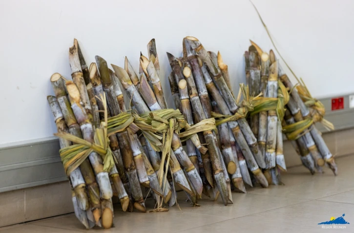 Huguette Bello a participé à l'ouverture du workshop coproducts ISSCT