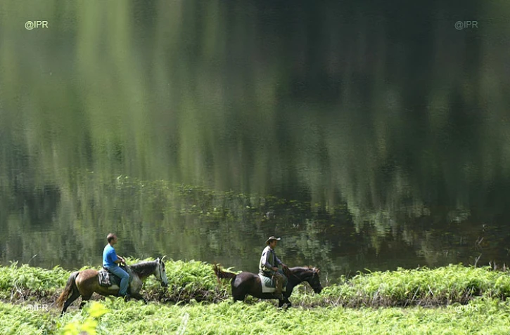 Equitation
