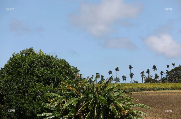 météo Réunion 