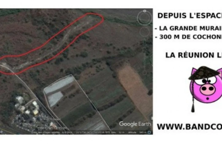 Déchets Band Cochons 