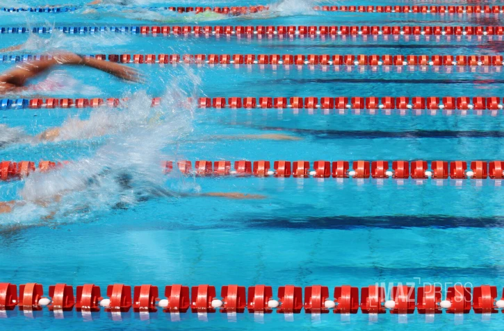 natation 