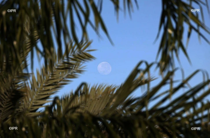 Lune