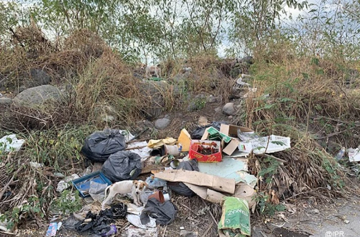 déchets 