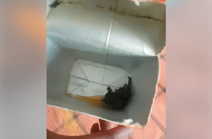 brique, jus de fruits, moisissure, Cilam, Diego