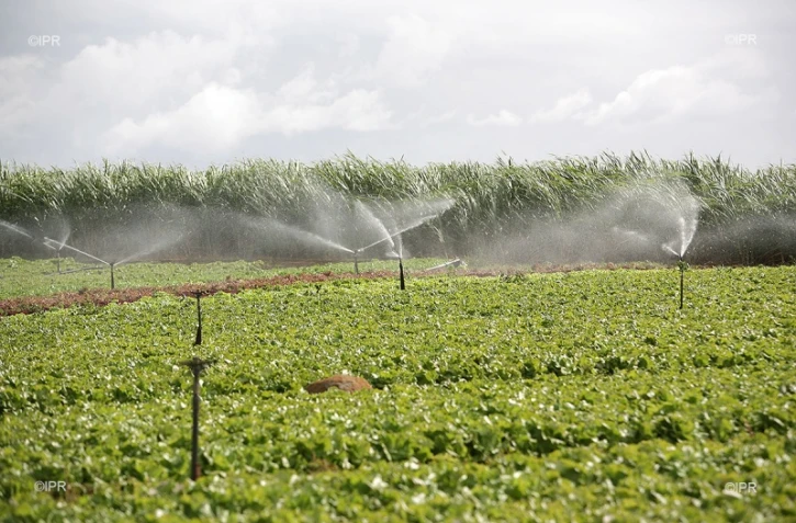 Irrigation champ agricole 