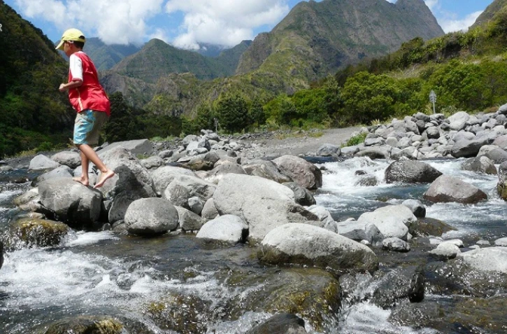 illustrations photos