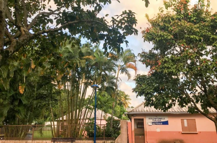école hibiscus saint benoit