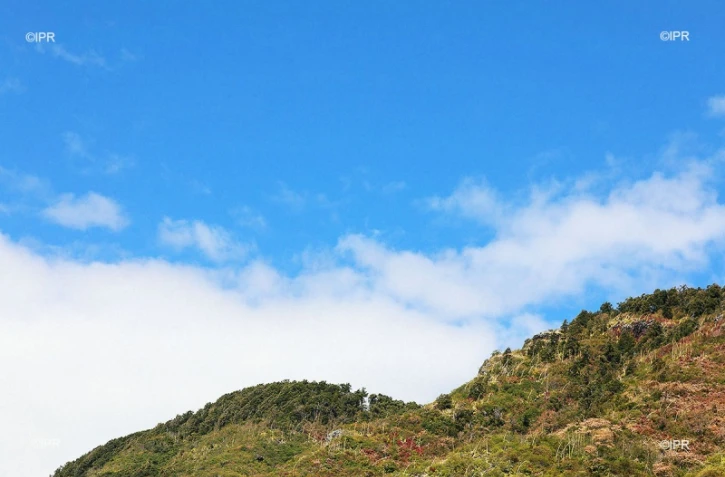 météo réunion 