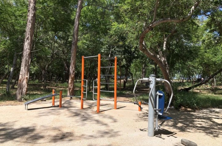 Street workout Saint-Paul