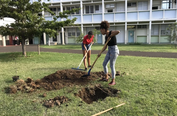 Les étudiants en communication ont la main verte