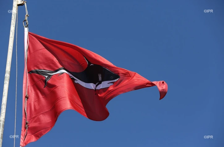 drapeaux requins