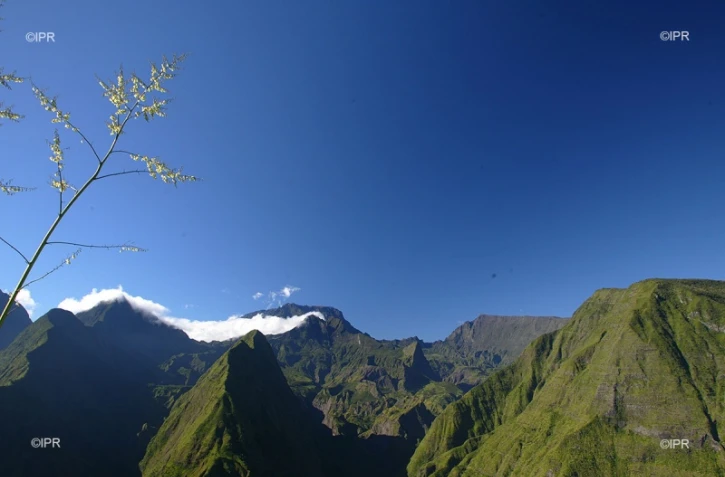 paysages 