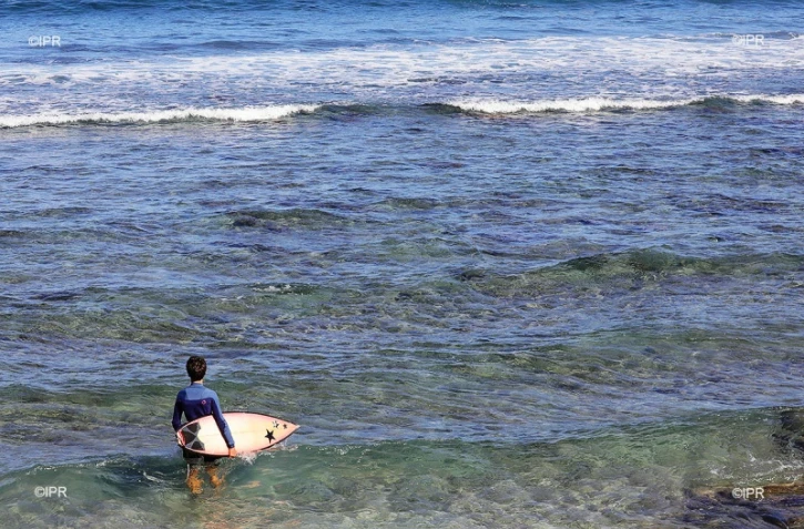surf roches noires 