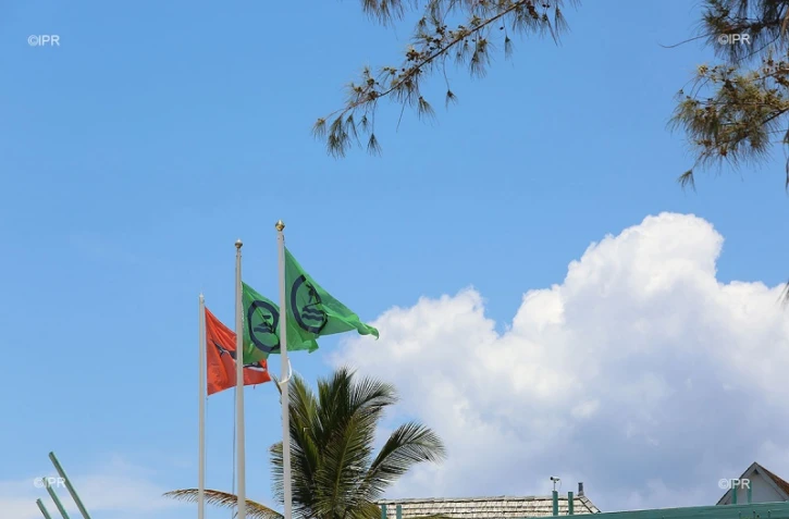 drapeaux requins ,drapeaux plages 