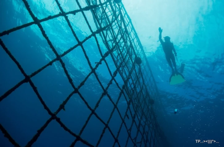 filet anti-requin de Boucan