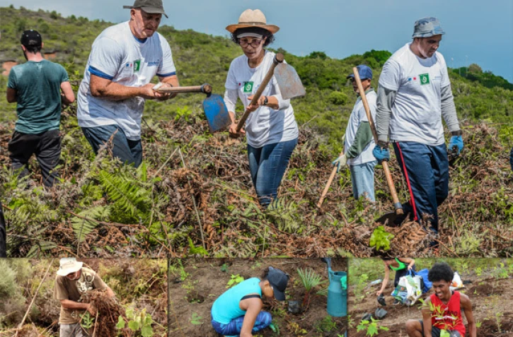 Des chantiers de plantation pour LIFE + Forêt Sèche