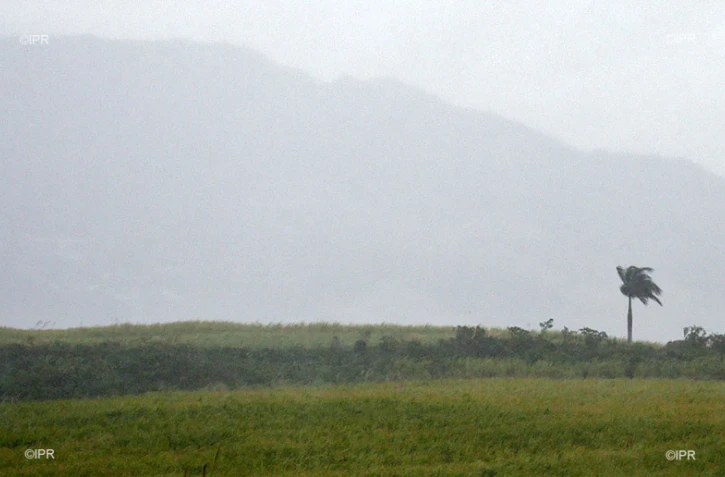 météo réunion 